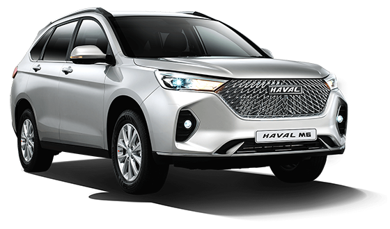 HAVAL  M6